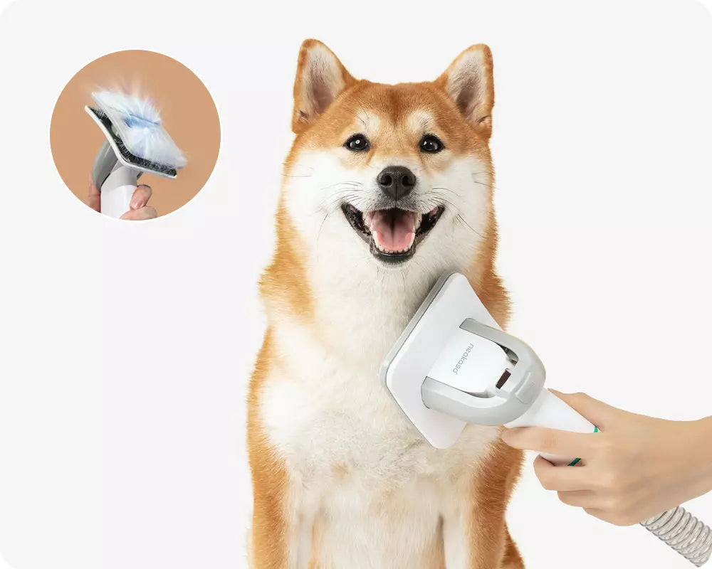 neakasa pet grooming tool