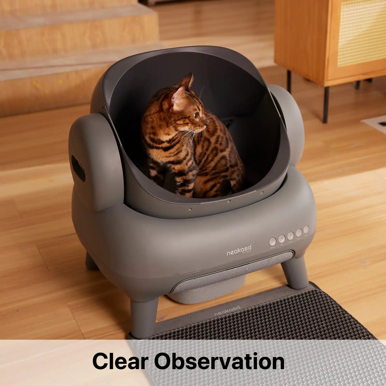 safe cat litter box